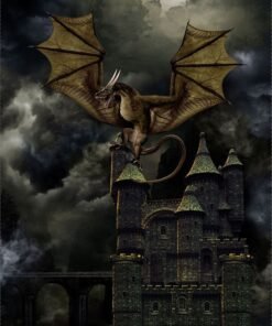 DRAGON'S LAIR 24" x 42" Dragon's Castle CD2995-Black from Timeless Treasures by the panel