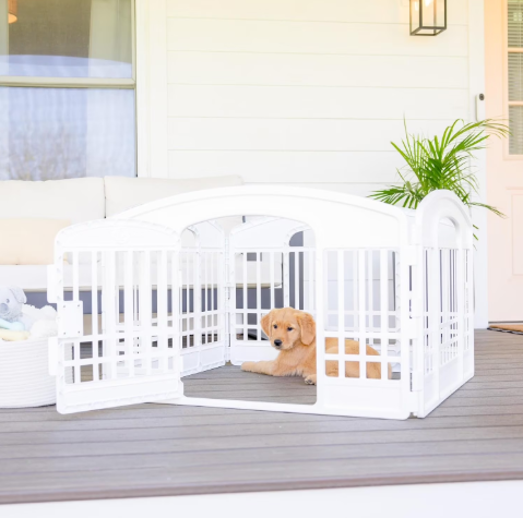 Carlson 24-Inch 4-Panel Plastic Pet Playpen with Door - White